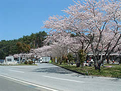 Goishi Goishi