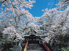 Fukusenji Fukusenji
