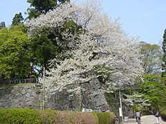 Moriokajyou Moriokajyou