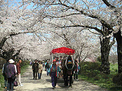 Tensyochi Tensyochi